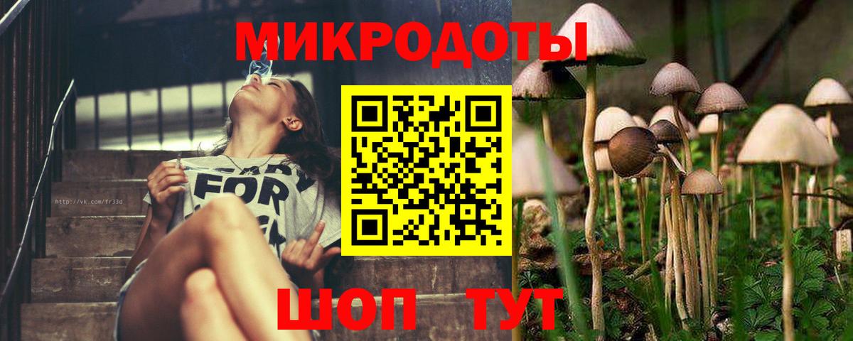 Галлюциногенные грибы MAGIC MUSHROOMS Отрадное