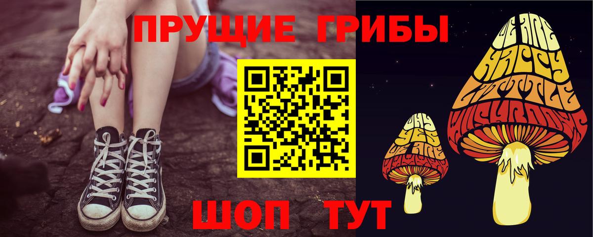 наркотики  Галлюциногенные грибы Psilocybe  Вход с VPN  Отрадное 